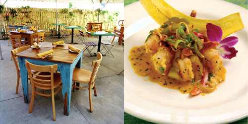 Cuba Cuba Cafe & Bar Review